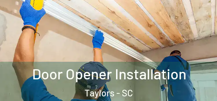  Door Opener Installation Taylors - SC