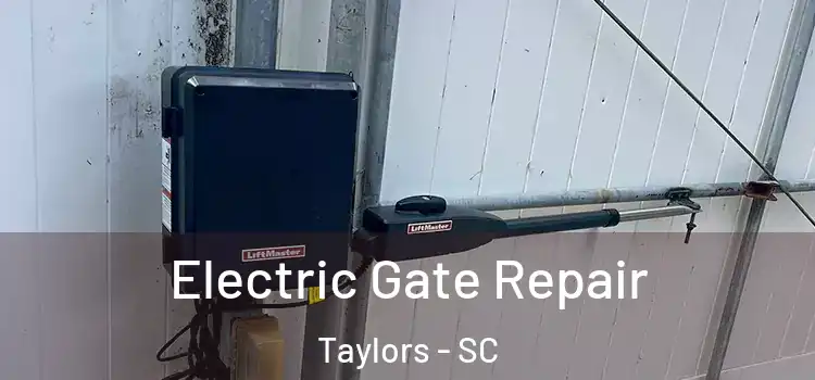  Electric Gate Repair Taylors - SC