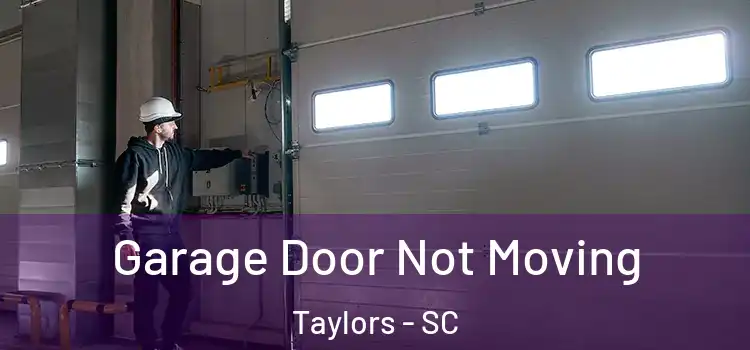  Garage Door Not Moving Taylors - SC