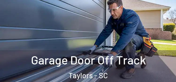  Garage Door Off Track Taylors - SC