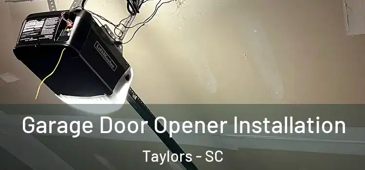  Garage Door Opener Installation Taylors - SC