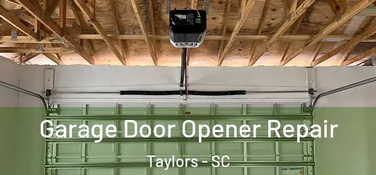  Garage Door Opener Repair Taylors - SC