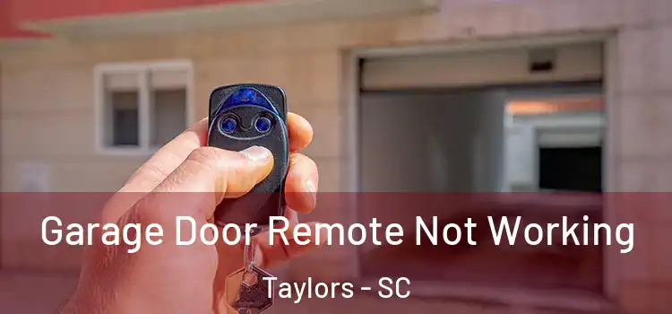  Garage Door Remote Not Working Taylors - SC