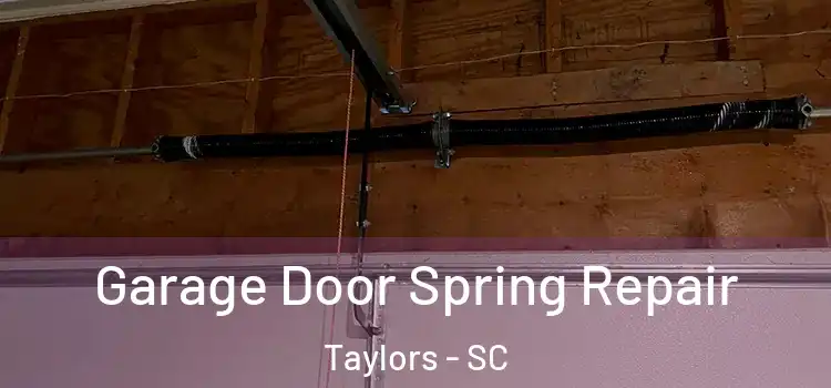  Garage Door Spring Repair Taylors - SC