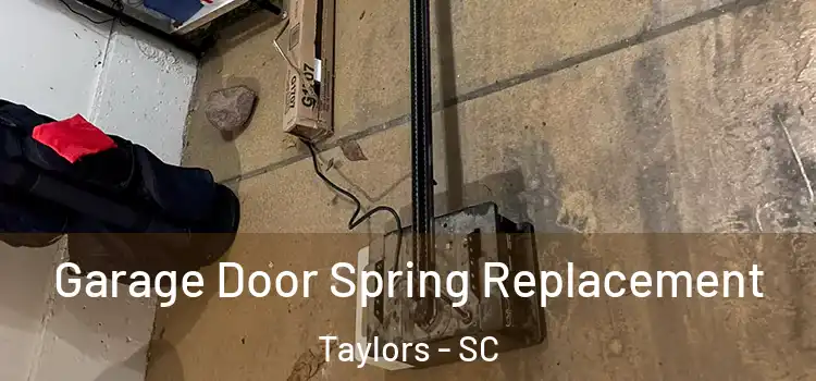  Garage Door Spring Replacement Taylors - SC