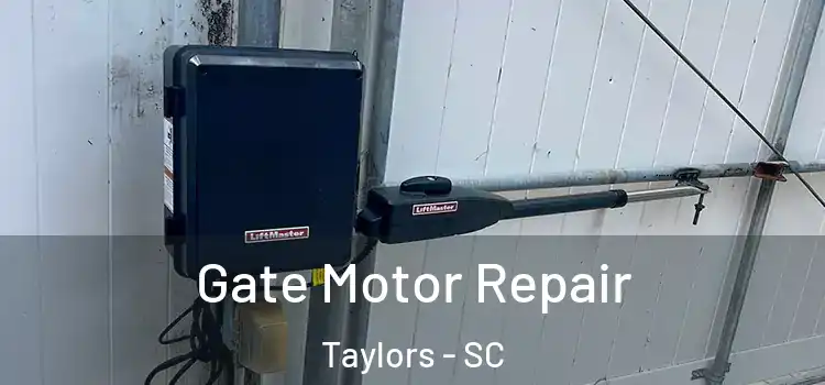  Gate Motor Repair Taylors - SC