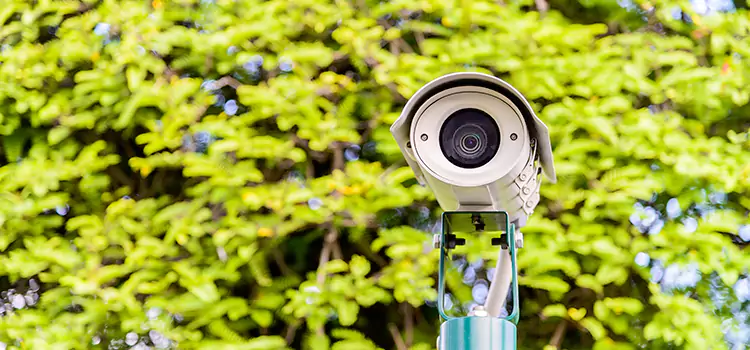 Advanced Surveillance Solutions for Every Need in Taylors