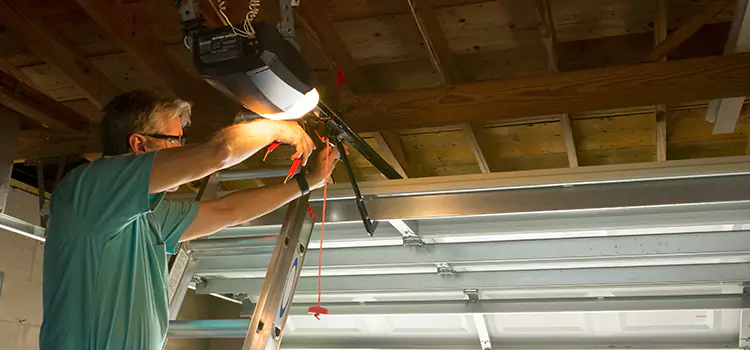 Garage Door Opener Sales and Installation Taylors