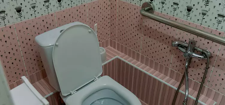 Meeting Diverse Needs With Accessible Restroom Solutions in Taylors, SC