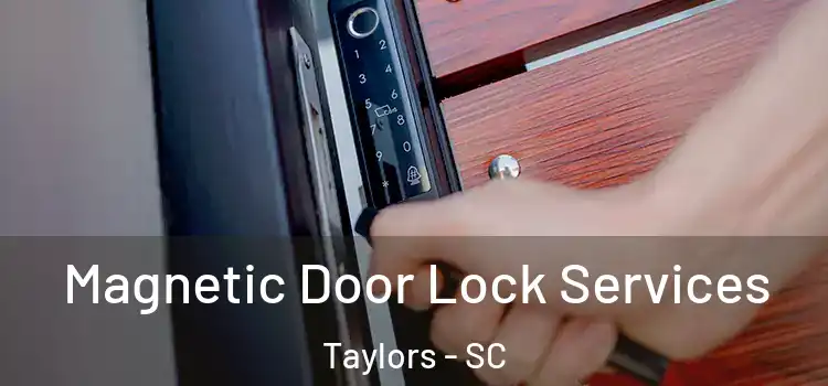  Magnetic Door Lock Services Taylors - SC