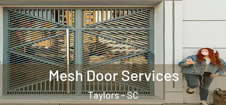 Mesh Door Services Taylors - SC