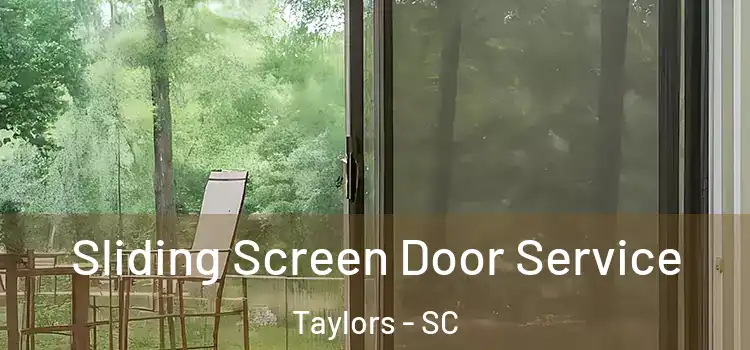  Sliding Screen Door Service Taylors - SC